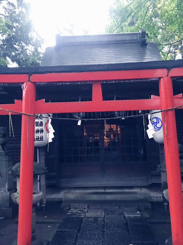 【大人な井の頭公園　東京　吉祥寺　三鷹　井の頭池アラウンドウォーキング】