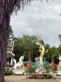 วัดอุทยานธรรมหนองบัวแดง ถ้ำนาคา เขมราฐ