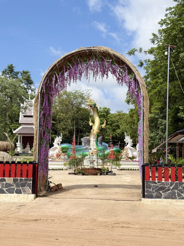 วัดอุทยานธรรมหนองบัวแดง ถ้ำนาคา เขมราฐ