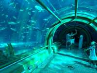 VinWonders Phu Quoc is an Absolute Blast