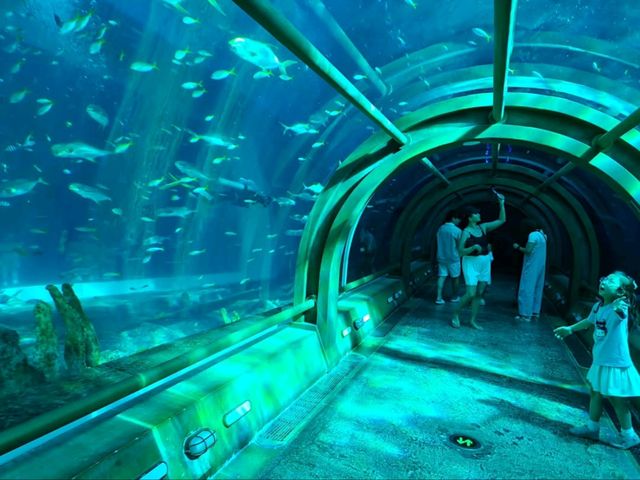 VinWonders Phu Quoc is an Absolute Blast