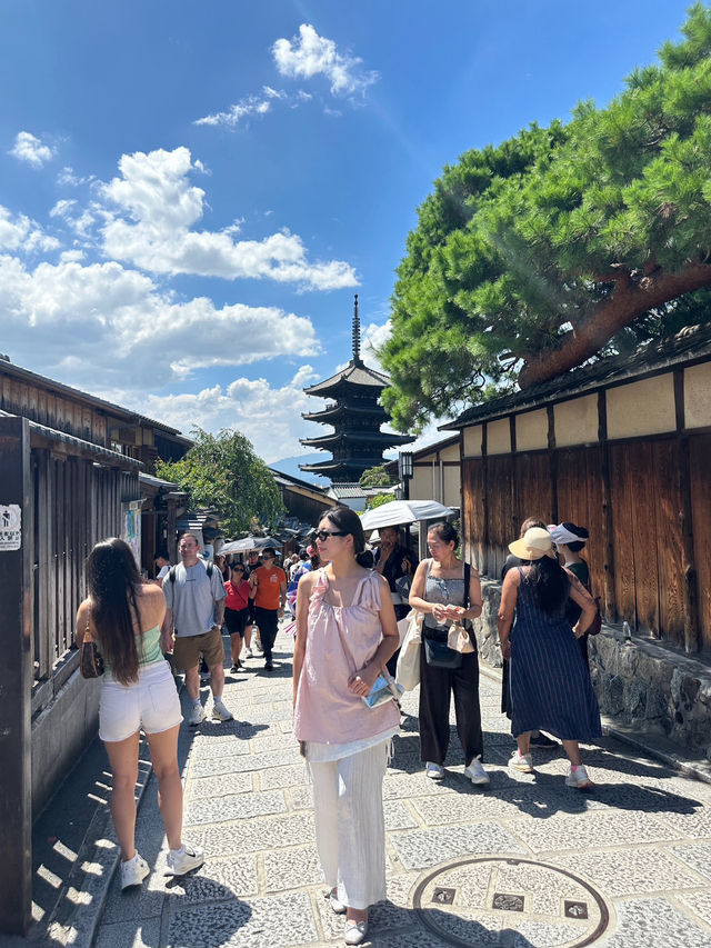 교토 당일치기 알짜배기 여행코스 🇯🇵🚌