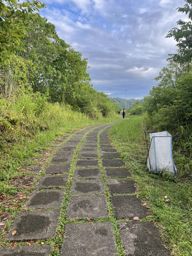 🇮🇩 Campuhan Ridge Walk