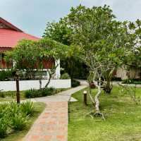 Eco Harmony and Beachside Calm