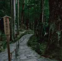 【和歌山】那智の滝