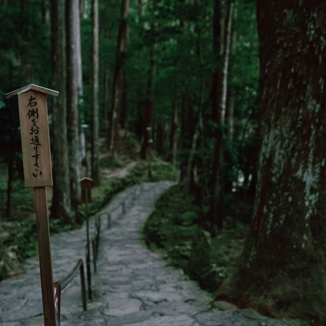 【和歌山】那智の滝
