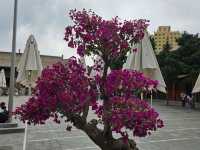 Discovering the Serenity of Xining Xiguan Mosque: A Timeless Oasis in the Heart of the City