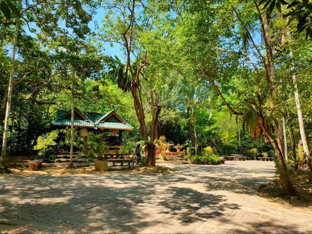 Hot Tubs, But Make It Jungle