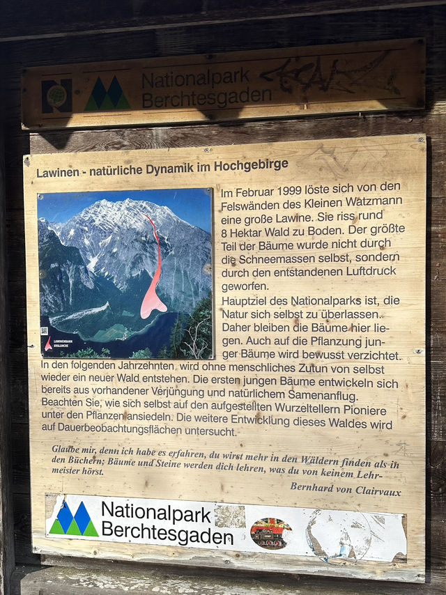 Königssee: Where Silence Echoes Louder