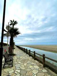 【千葉】 海岸にラクダ？ 絶景スポット