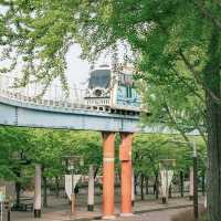 Wolmido Island: A Nostalgic Seaside Escape Just Outside Seoul"** 🌊🎡