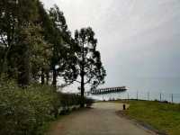 Leaf It All Behind at Batumi Botanical Garden