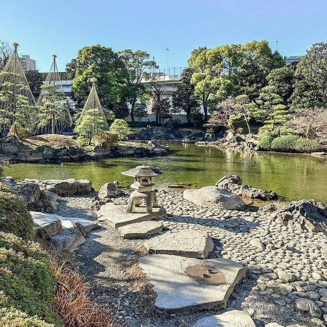 Solo & Budget Summer Adventure in Ryogoku, Tokyo!** 🌸🔥