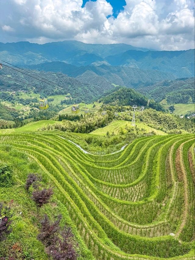 “The Dragon’s Green Staircase”