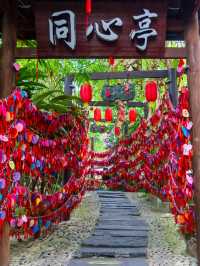 🌅เช้าตรู่ที่ถนนโบราณจิ่นหลี่ เฉิงตู 