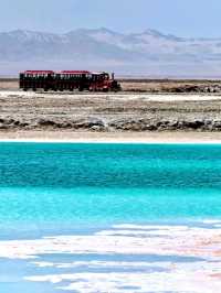 Cruising Through Da Qaidam’s Wild Wonders
