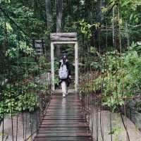 น้ำตกภูผายล