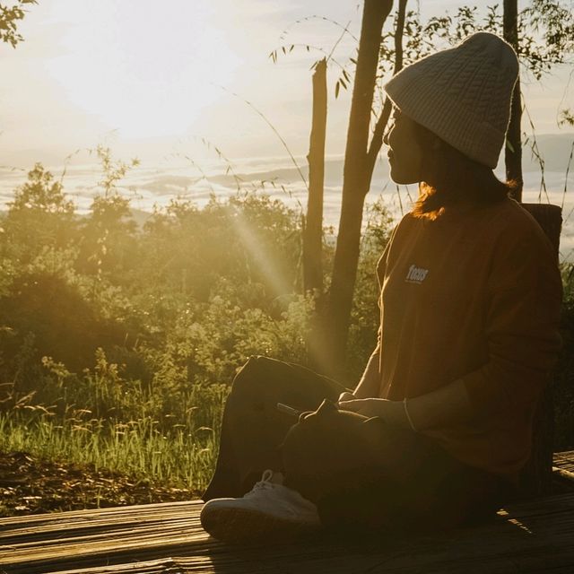 🏕ไป Camping ที่อุทยานแห่งชาติภูสวนทรายกันค่ะ