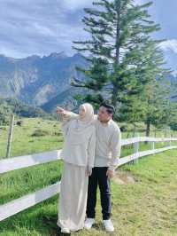3 Things You Must Do at Desa Dairy Farm