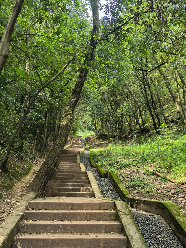 Miaohou Temple 