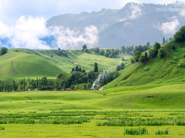 Nalati Grassland Is Straight Up Gorgeous