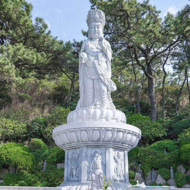 Haedong Yonggungsa: Busan’s Coastal Temple Sanctuary – A Solo Traveler’s Spiritual Escape"** 🌊🏯  
