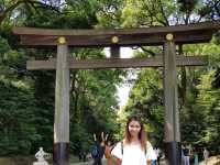 วัดเมจิ (Meiji Jingu) – ศาลเจ้าศักดิ์สิทธิ์