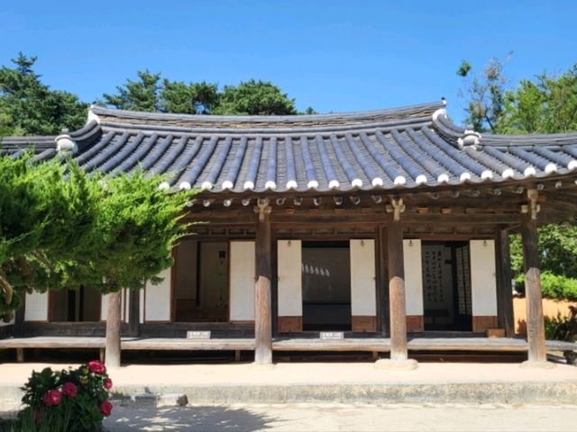 KTX 타고 강릉 당일치기 걷는 여행 코스