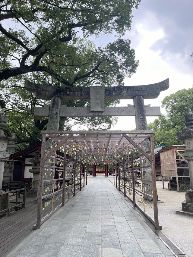 Guide to be able to take pictures of Dazaifu Shrine without the crowd!