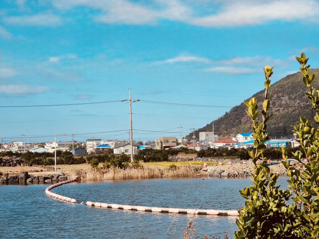 A Serene and Unspoiled Coastal Gem