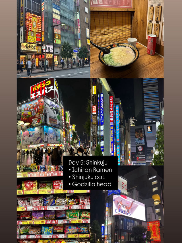 7 days Tokyo Itinerary 