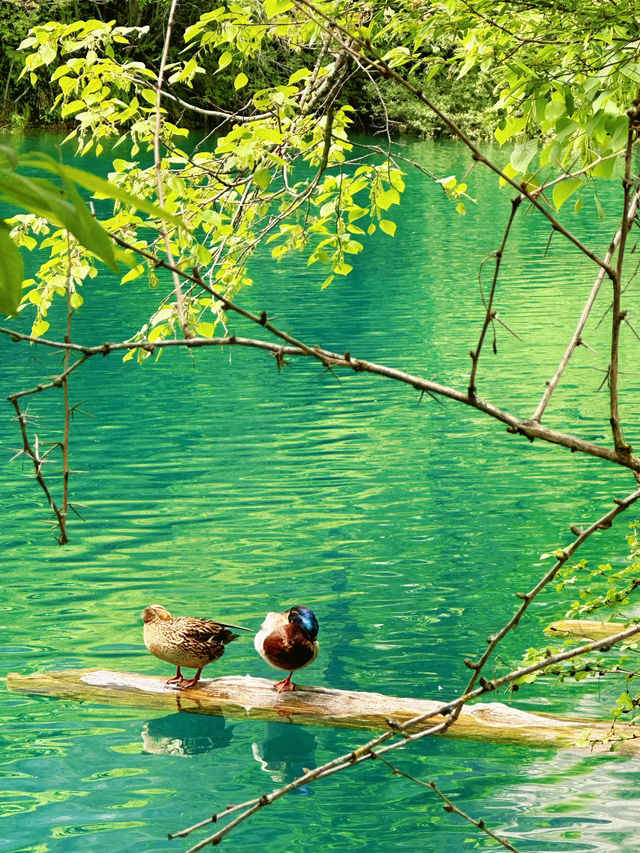 📍Jiuzhaigou — A Fairytale Hidden in the Mountains