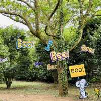 Engaging Fun for Families with Interactive Learning