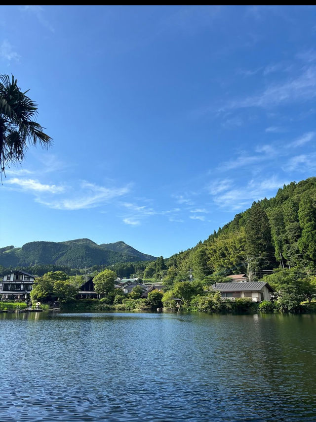 朝霧に包まれる幻想の湖、金鱗湖で心洗われるひととき🌫️ 朝霧に包まれる幻想の湖、金鱗湖で心洗われるひととき🌫️