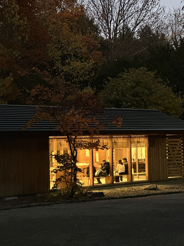 靈驗神籤與清幽木境｜北海道神宮巡禮