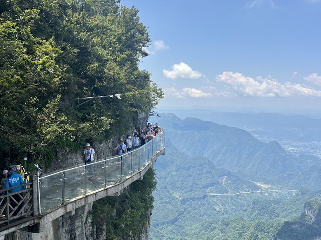 From Skyscrapers to Sky Pillars✨: A Journey Through Chongqing🌆 & Zhangjiajie 🏞️