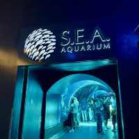  🌊 SEA Aquarium Singapore – Dive Into the Deep Blue 🐠🐟