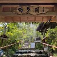 Tokyo｜Keio Mogusaen – Edo Garden Charm Through the Seasons 🌸🍁