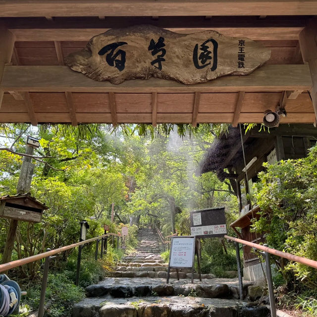 Tokyo｜Keio Mogusaen – Edo Garden Charm Through the Seasons 🌸🍁