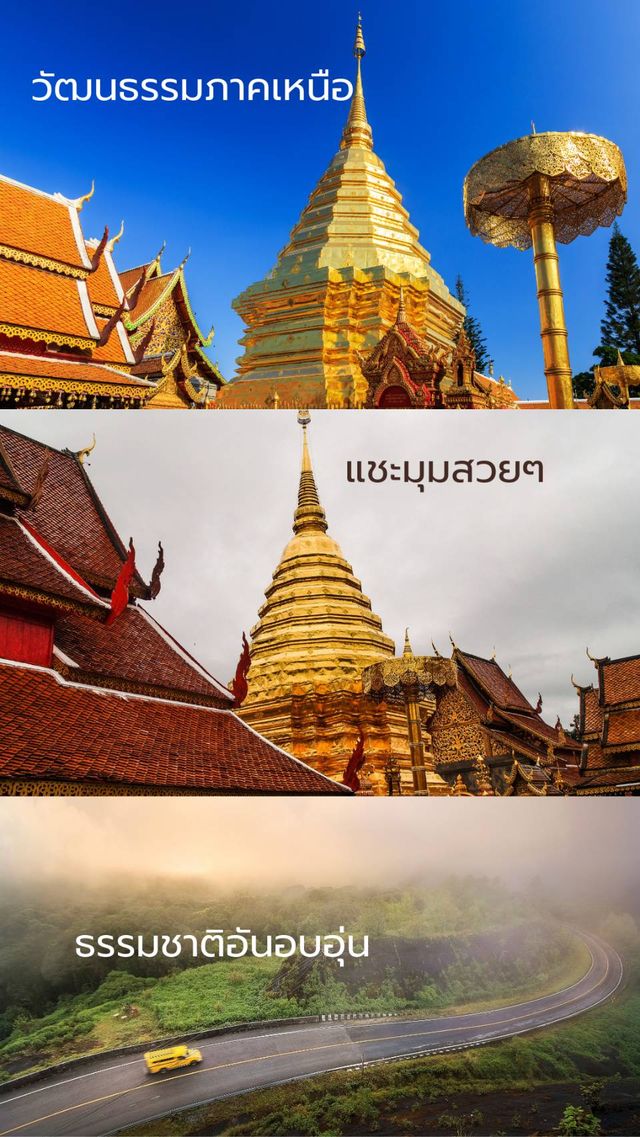 🌄 “แสงทองแห่งศรัทธา บนยอดดอยสุเทพ” 📍