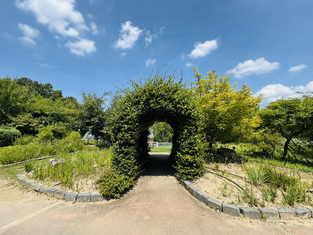 자연 속 작은 교실, 자연생태학습원 🌿 자연 속 작은 교실, 자연생태학습원 🌿