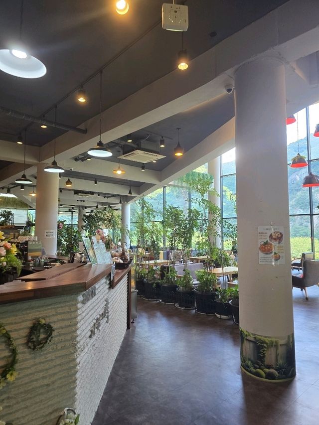담양 아리에뜰 카페 방문 🌿☕