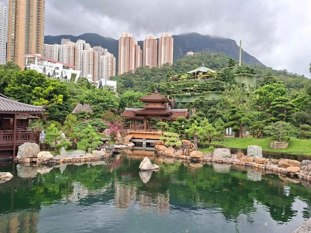 南蓮園池|鬧市中的中式庭園🌳|親子散步好去處🌟 南蓮園池|鬧市中的中式庭園🌳|親子散步好去處🌟