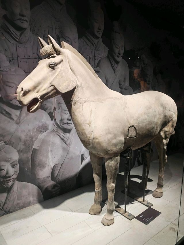 西安臨潼博物館 - 秦代文物鑑賞體驗