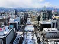 Snow, Soup, and Solo Adventures: My Escape to Sapporo