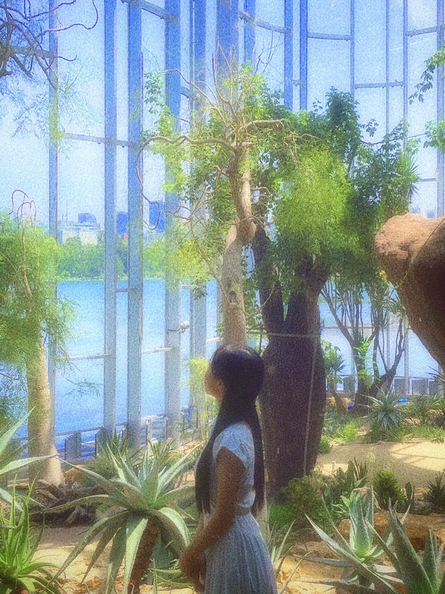 🌺 上海温室花园(상하이 온실 정원) 🏞 힐링 스팟 후기