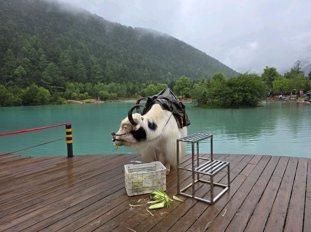 altTitle