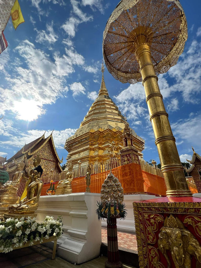 📅 ทริปแม่เหียะ 3 วัน 2 คืน 📅 ทริปแม่เหียะ 3 วัน 2 คืน