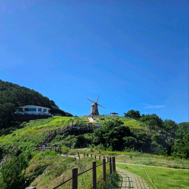🍃 바람의언덕, 거제 여행의 필수 코스