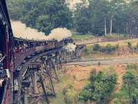 墨爾本Puffing Billy 蒸汽小火車魔幻時刻